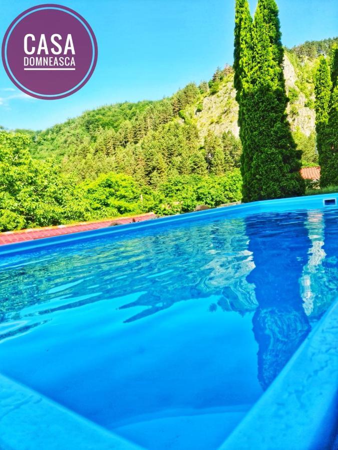 Villa Casa Domneasca Baia de Fier Exterior foto